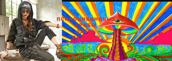 МДПВ Абдулино